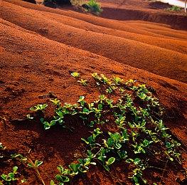 Dan Houser新作《A Better Paradise》完全不像GTA